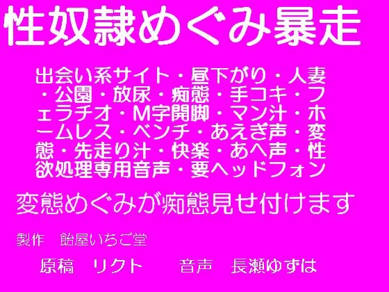 性奴○めぐみ暴走 の表紙