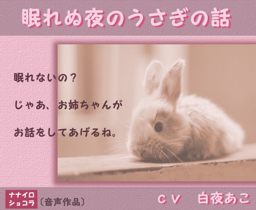 眠れぬ夜のうさぎの話 の表紙