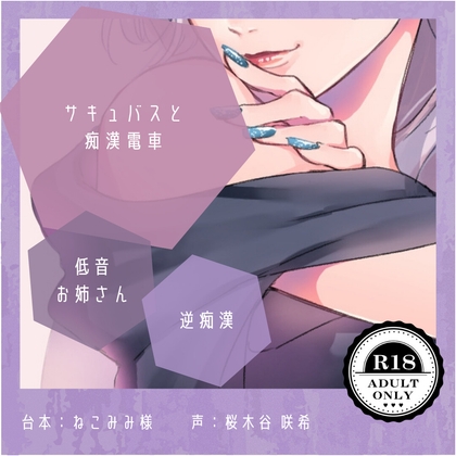 【人外×逆痴○】サキュバスと痴○電車 の表紙