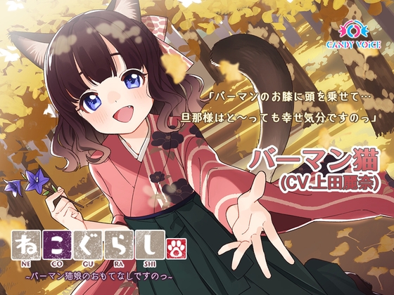 【耳かき・吐息】ねこぐらし。3〜バーマン猫娘のおもてなしですのっ〜【CV: 上田麗奈】 の表紙