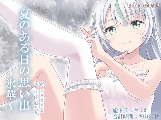 夏のある日の思い出～氷華～ の表紙