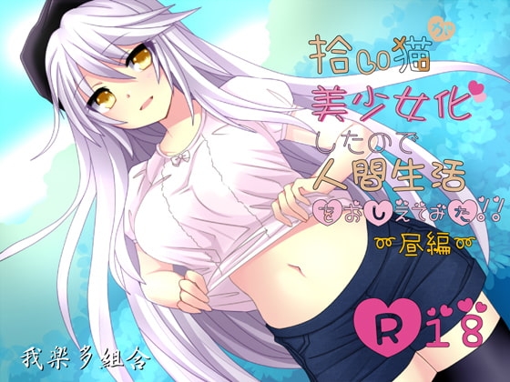 拾い猫が美少女化したので人間生活教えてみた～昼編～R18 の表紙