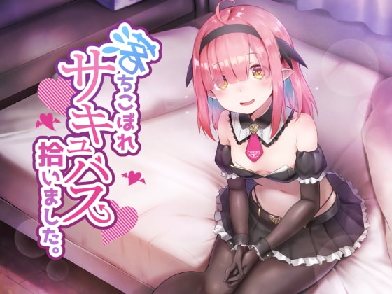 落ちこぼれサキュバス、拾いました。 の表紙