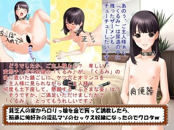 貧乏人の家から○リっ娘を金で買って調教したら、簡単に俺好みの淫乱マゾのセックス奴○になったのでワロタw の表紙