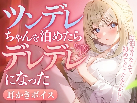 ツンデレちゃんを泊めたらデレデレになった の表紙