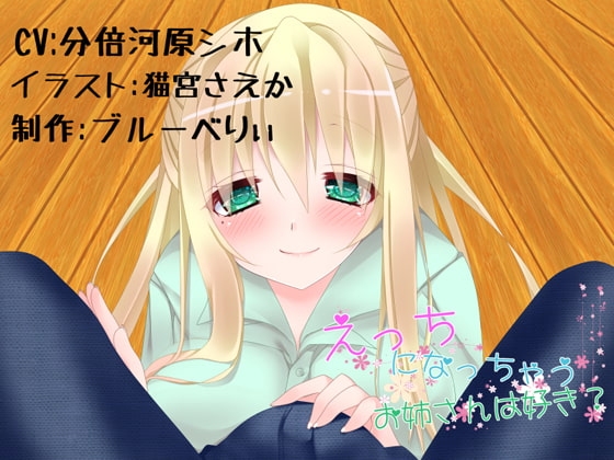 えっちになっちゃうお姉さんはすき? の表紙