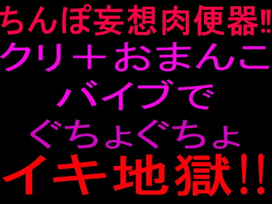 ちんぽ妄想肉便器‼クリ+おまんこバイブでぐちょぐちょイキ地獄‼ の表紙