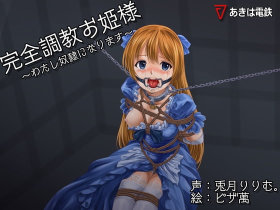 完全調教お姫様～わたし性奴○になります～ の表紙