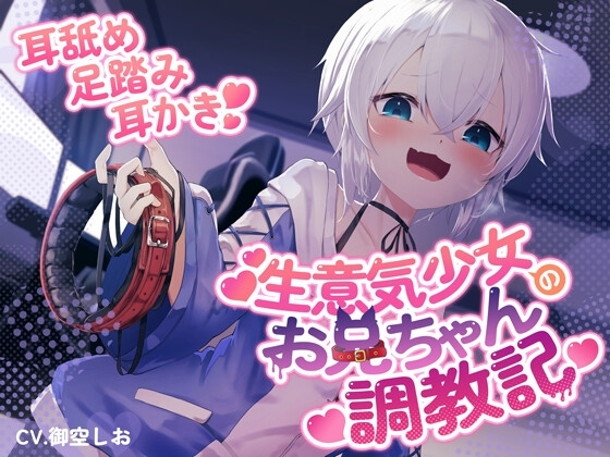 生意気少女のお兄ちゃん調教記 の表紙