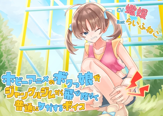 ホビーアニメのボクっ娘がジャングルジムから飛び降りて普通にケガするボイス の表紙