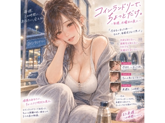 『コインランドリーで毎週会うお姉さんと、洗濯が終わるまで話すだけ。』 の表紙