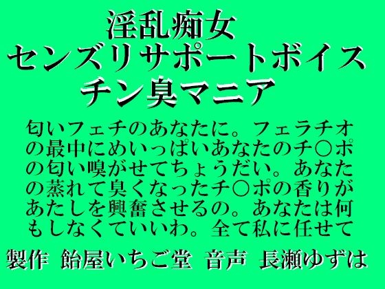 淫乱痴女センズリサポートボイス チン臭マニア WAV の表紙