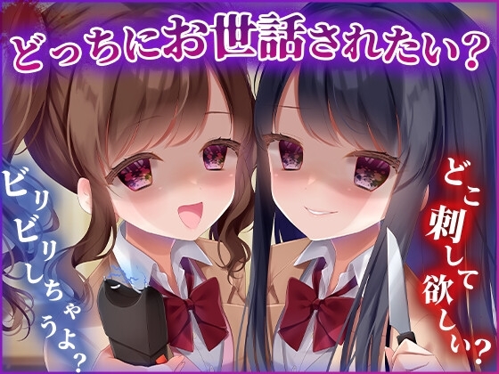お兄ちゃんが好きすぎる双子妹は強○的にお世話したい の表紙