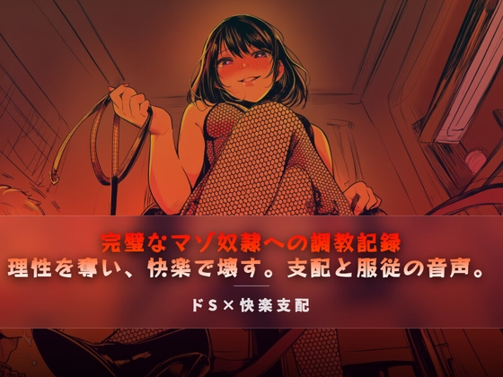 完璧なマゾ奴○への調教記録 の表紙