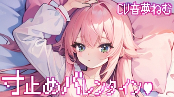 寸止めバレンタイン の表紙