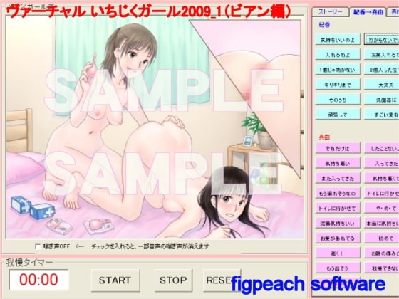 ヴァーチャルイチジクガール 2009(びあん編) の表紙