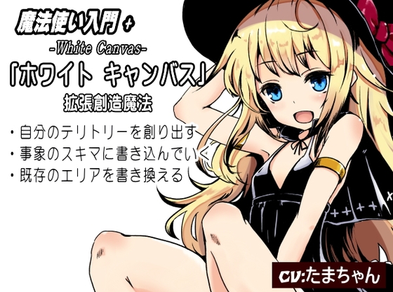 魔法使い入門+04 「ホワイト キャンバス」 拡張創造魔法 ・自分のテリトリーを創り出す ・事象のスキマに書き込んでいく ・既存のエリアを書き換える の表紙