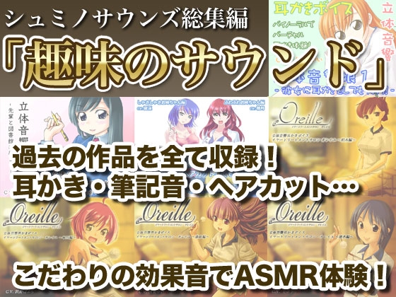 シュミノサウンズ総集編「趣味のサウンド」 の表紙