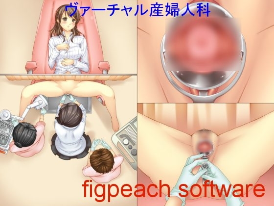 ヴァーチャルナース 産婦人科編 の表紙