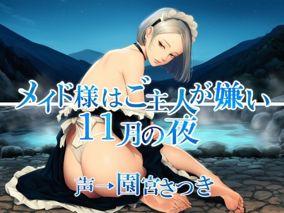 メイド様はご主人が嫌い 11月の夜 の表紙