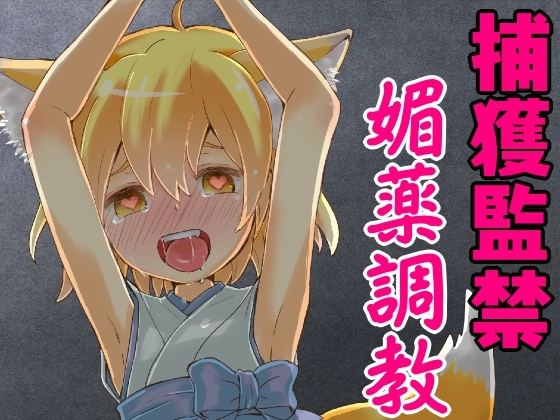 狐娘の○リババアが捕獲されて媚薬で従順な性奴○にされるまで。 の表紙