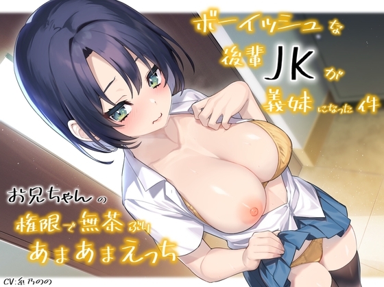 ボーイッシュな後輩JKが義妹になった件お兄ちゃんの権限で無茶ぶりあまあまえっち の表紙