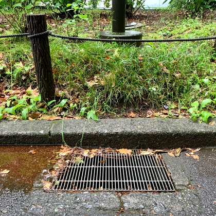 雨傘と雨水溝 の表紙