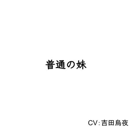普通の妹 の表紙