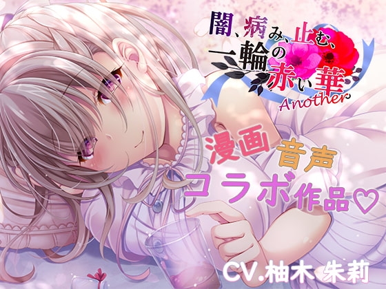 闇、病み、止む、一輪の赤い華。+Another の表紙