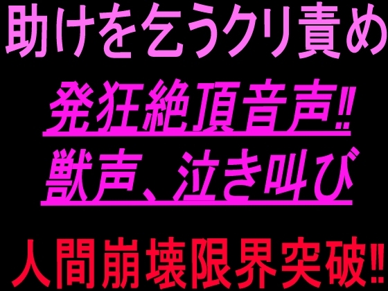 助けを乞うクリ責め発狂絶頂音声‼︎獣声、泣き叫び、人間崩壊限界突破‼︎ の表紙