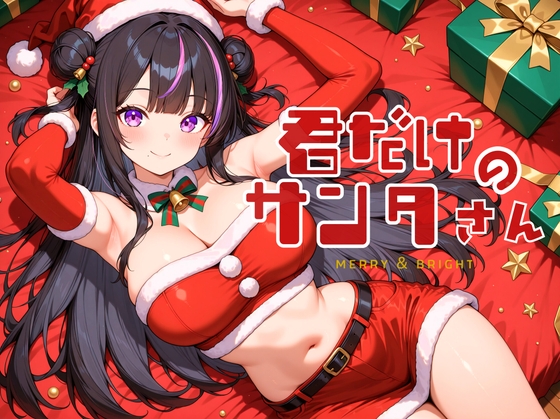 君だけのサンタさん の表紙