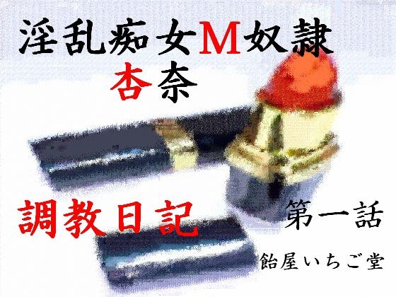 淫乱痴女M奴○杏奈・調教日記 の表紙