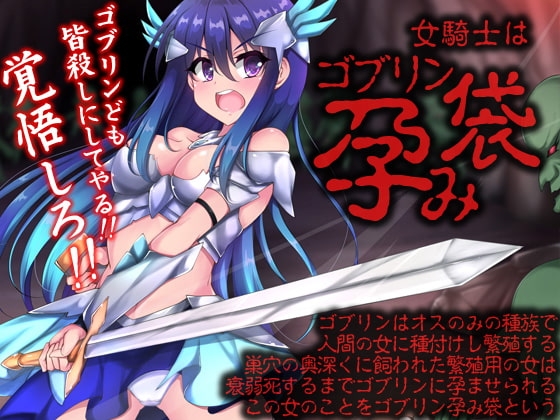女騎士はゴブリン孕み袋 の表紙
