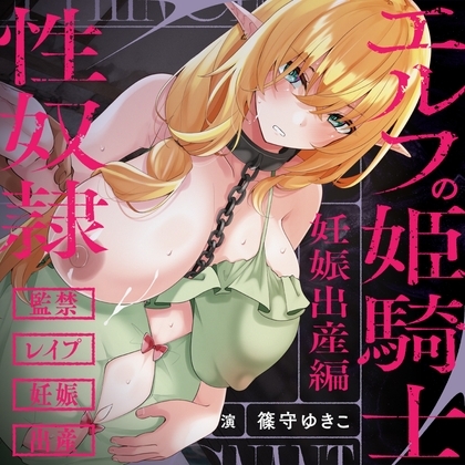 エルフの姫騎士は性奴○になりました～妊娠、出産編～ の表紙