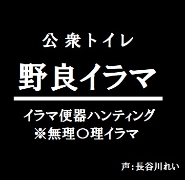 公衆トイレー野良イラマー の表紙