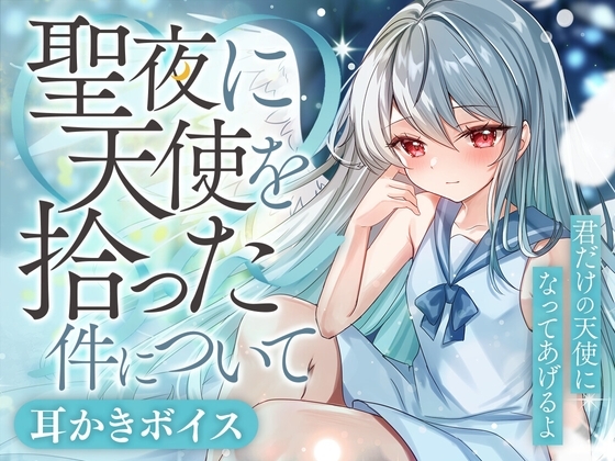 聖夜に天使を拾った件について の表紙