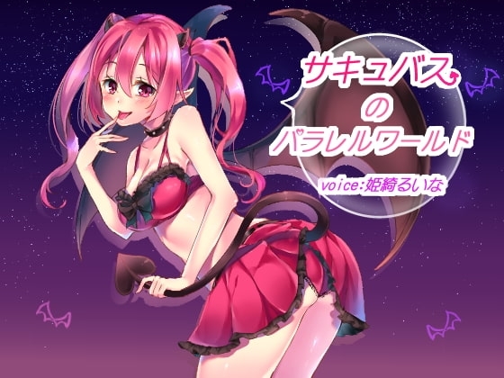 サキュバスのパラレルワールド の表紙