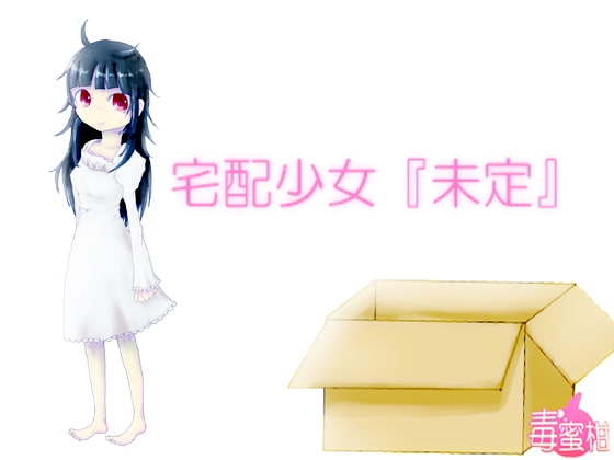 宅配少女『未定』 の表紙