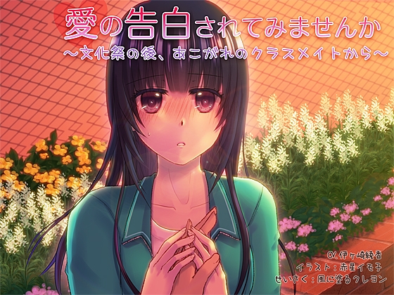 愛の告白されてみませんか～文化祭の後、あこがれのクラスメイトから～ の表紙