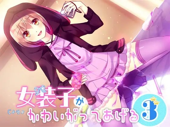 女装子がかわいがってあげる3 の表紙