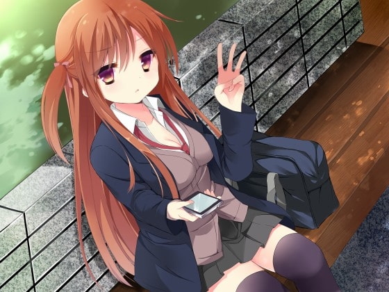 掲示板で知り合った少女～お小遣い目当てのJKユイナ～ の表紙