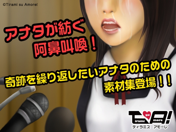 会見風素材集 の表紙