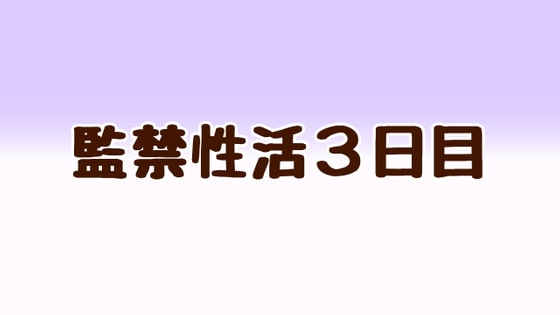 監禁性活3日目 の表紙