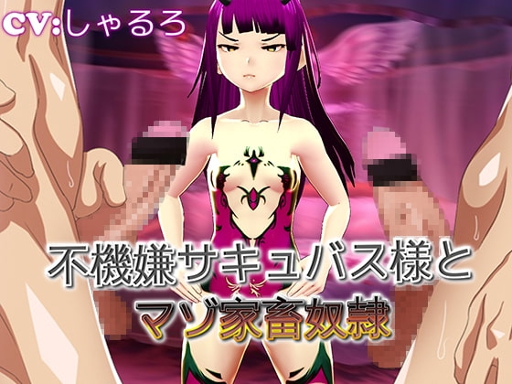 不機嫌サキュバス様とマゾ家畜奴○ の表紙