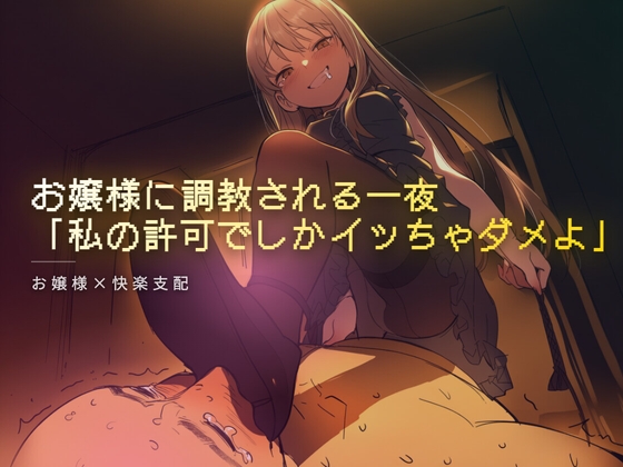 お嬢様に調教される一夜 の表紙