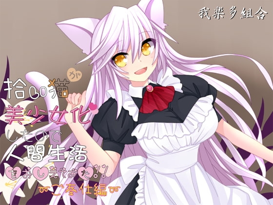 拾い猫が美少女化したので人間生活教えてみた～ご奉仕編～ の表紙