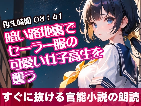 暗い路地裏でセーラー服の可愛い女子高生を襲う【オリジナル官能小説の朗読】 の表紙