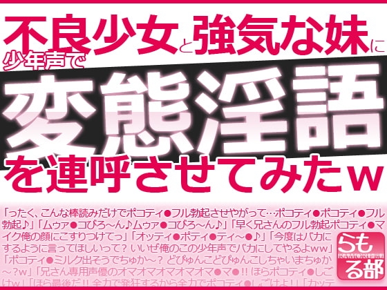 不良少女と強気な妹に少年声で変態淫語を連呼させてみたw の表紙