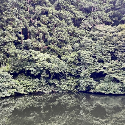 20230709 06:21pm 散在ガ池森林公園 の表紙