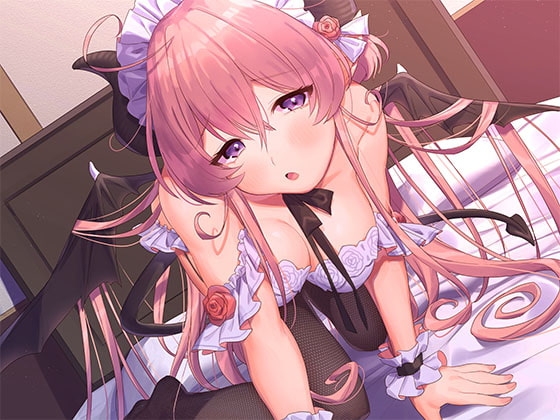 サキュバス拾いました の表紙
